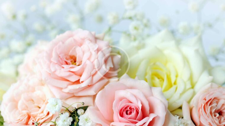 June Summer Wedding Bouquet Ideas